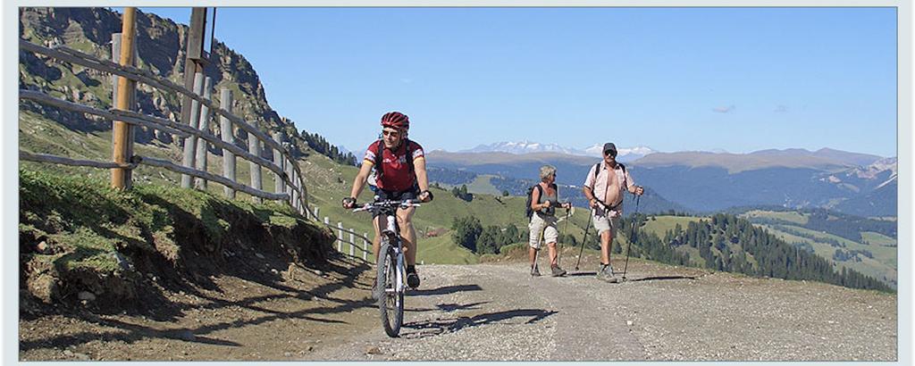 Camera Alpe Di Siusi Phòng bức ảnh
