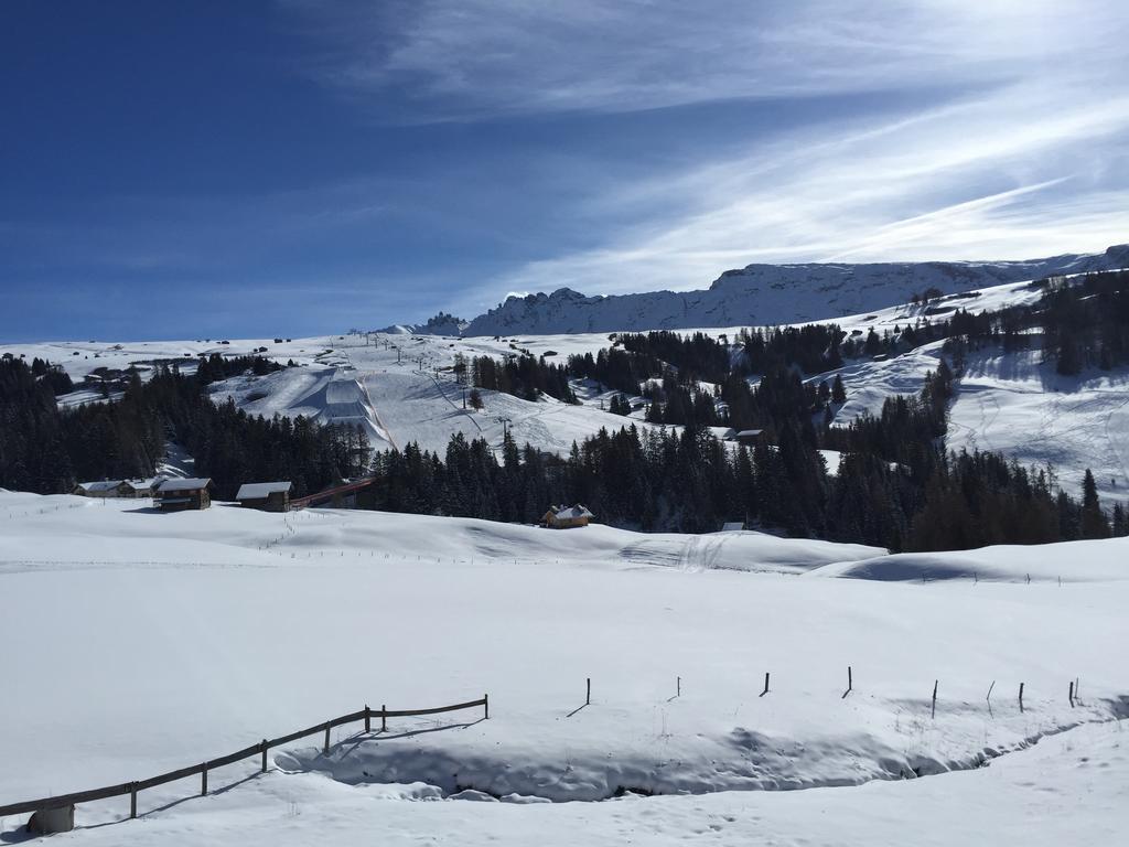 Camera Alpe Di Siusi Phòng bức ảnh